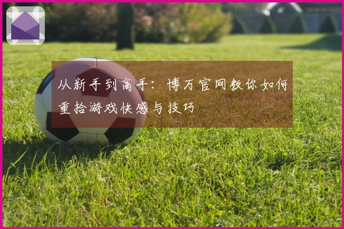 从新手到高手：博万官网教你如何重拾游戏快感与技巧