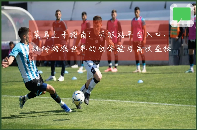 菜鸟上手指南：买球站平台入口，玩转游戏世界的初体验与高收益秘籍