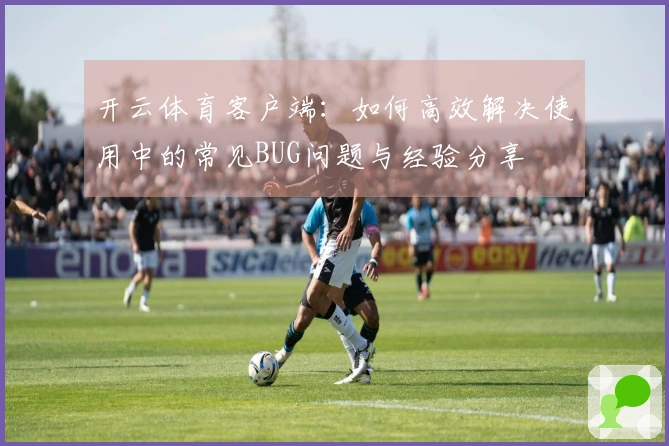 开云体育客户端:如何高效解决使用中的常见BUG问题与经验分享