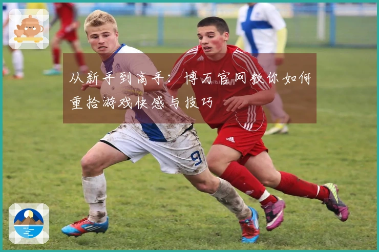 从新手到高手：博万官网教你如何重拾游戏快感与技巧
